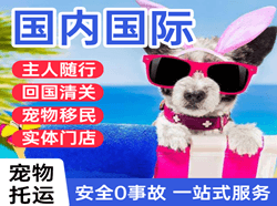 营口航空快递国际宠物托运 【国